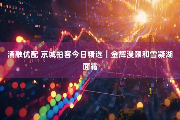 涌融优配 京城拍客今日精选｜金辉漫颐和雪凝湖面霜